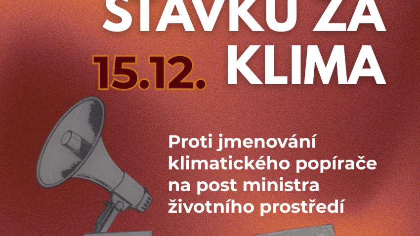 Celostátní středoškolská stávka za klima